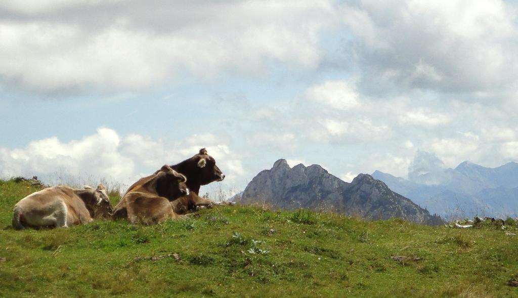 Alpenhotel Steirerhof Tauplitzalm Zewnętrze zdjęcie